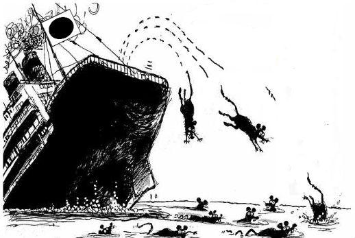 rats jumping ship